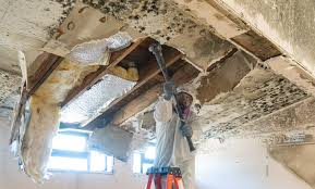 Best Water Damage & Mold Remediation  in Kootenai, ID